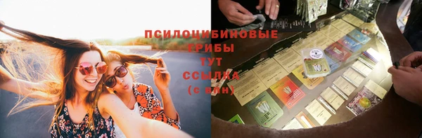 винт Арсеньев
